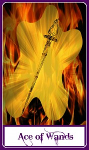 ace of wands